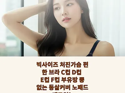 빅사이즈 처진가슴 편한 브라, 뽕 없 관련 이미지 1